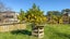 6736 Wilson Road, Netherton, Paeroa - Carousel 8