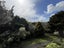 22/8 Flynn Street, Birkdale, Auckland - Carousel 18