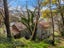 32 Dorset Street, Picton - Carousel 11