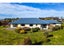 37 Blue Cliffs Road, St Andrews - Carousel 1