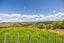 635 Golden Stairs Road, Mareretu, Maungaturoto - Carousel 30