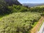 0 , Otaki - Carousel 36
