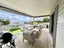 138 Maraetai Drive, Maraetai, Auckland - Carousel 10