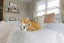 1 Huia Street, Piopio, Piopio - Carousel 28