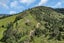 75 Parakiore Road, Ngararatunua, Kamo - Carousel 10