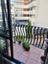 3H/6 Burgoyne Street, Grey Lynn, Auckland - Carousel 6