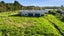 21 Brigham Creek Road, Whenuapai, Auckland - Carousel 3