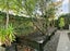 28F Fernleigh Avenue, Royal Oak, Auckland - Carousel 14