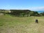14 Akeake Crescent, Karikari Peninsula, Karikari Peninsula - Carousel 11