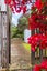 3 Snell Place, Pakuranga, Auckland - Carousel 2