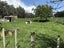 91 Humphries Street, Woodside, Greytown - Carousel 6