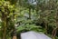56 Sylvan Valley Avenue, Titirangi, Auckland - Carousel 6