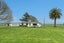 973 Tauhei Road, Morrinsville - Carousel 1