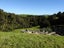 543 Three Mile Bush Road, Te Kamo, Whangarei - Carousel 22