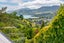10 Quebec Road, Washington Valley, Nelson - Carousel 6