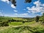 424A Hot Springs Road, Tahawai, Katikati - Carousel 34