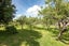 70 Kopu Road, Kopu, Thames - Carousel 35