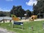 22 Valhalla Drive, Beach Haven, Auckland - Carousel 26