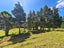 1702 Colville Road, Amodeo Bay, Coromandel - Carousel 18