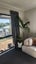 2A Seymour Road, Sunnyvale, Auckland - Carousel 4
