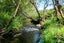 0 Makotuku Valley Rd (State Highway 4), Raetihi, Raetihi - Carousel 5