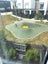57 Huri Street, Mangere Bridge, Auckland - Carousel 16