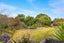 39 Featherston Cross Creek Road, WESTERN LAKE, FEATHERSTON - Carousel 21