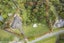 577 Redoubt Road, Flat Bush, Auckland - Carousel 30