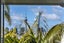 23 Paget Street, Freemans Bay, Auckland - Carousel 9