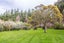 265 No 1 Line, Featherston - Carousel 47