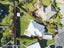 3 Oliver Street, Wakari, Dunedin - Carousel 24