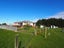 86 Jacks Bay Road, Hinahina - Carousel 17