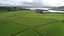 0 Wharekawa Road, Oue, Kaikohe - Carousel 1