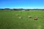 4357 State Highway 7, Blackball - Carousel 31