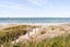 1C Salt Avenue, Mount Maunganui, Mount Maunganui - Carousel 26