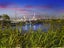 92A Ngataringa Road, Devonport, Auckland - Carousel 17