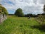 65 Glue Pot Road, Oropi, Tauranga - Carousel 25