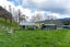 294B BUSBY ROAD, Katikati, Western Bay Of Plenty - Carousel 18