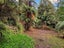 14 Utuhina Road, Springfield, Rotorua - Carousel 20