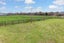 20 Carter Road, Waerenga - Carousel 20