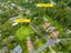 7 Boylan Road, Titirangi, Auckland - Carousel 30