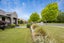 38 Elmwood Avenue, Witherlea, Blenheim - Carousel 32