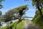 0 Brindle Road, Whirinaki, Whirinaki - Carousel 14