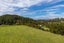 750 Tara Road, Kaiwaka - Carousel 18