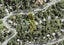 28 Laingholm Drive, Laingholm, Auckland - Carousel 17