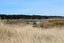 64 Te Kohanga DR, Pegasus, Pegasus - Carousel 4
