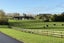 166J Postman Road, Dairy Flat, Albany - Carousel 21