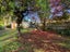 97A Johns Road, Northwood, Christchurch - Carousel 11