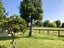 322 Picquet Hill Road, Te Awamutu, Te Awamutu - Carousel 5