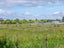 3509 State Highway 2, Clareville, Carterton - Carousel 6